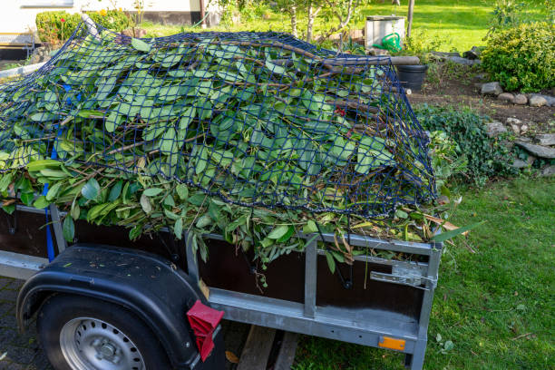 Best Shed Removal  in Thomasville, AL